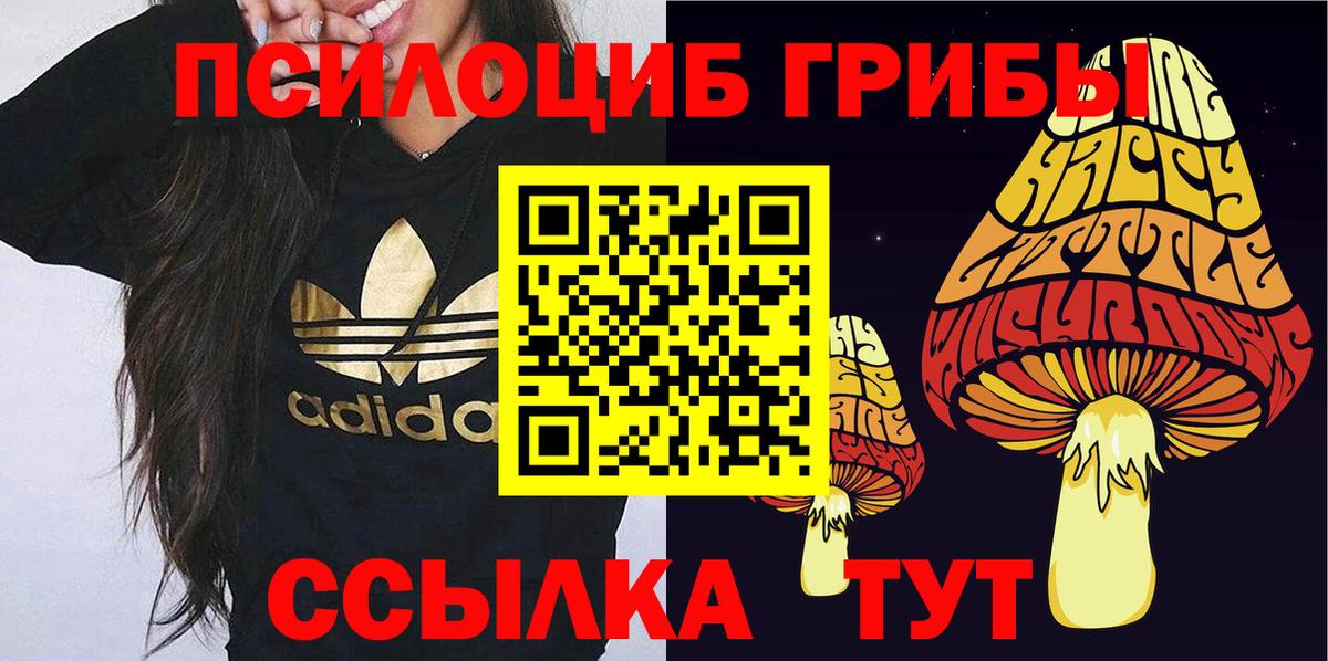 Ноябрьск  Галлюциногенные грибы Magic Shrooms  Вход с VPN 
